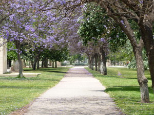 BUCHE MEER Park Valencia