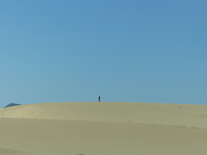 BUCHE MEER Fuerteventura Dünen Corralejo