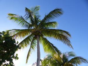 BUCHE MEER Region Holguin - Kuba<br><br>