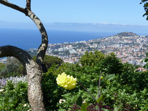 BUCHE MEER Madeira - Portugal<br><br>