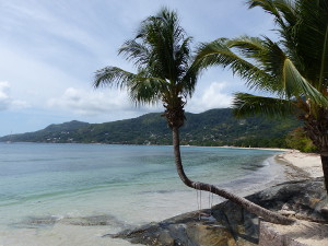 BUCHE MEER Seychellen Beau Vallon Bay bei Fisherman's Cove