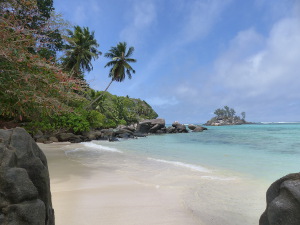 BUCHE MEER Seychellen Anse Royal