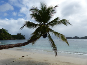 BUCHE MEER Seychellen Takamaka Strand