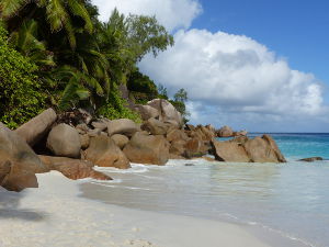 BUCHE MEER Seychellen Praslin