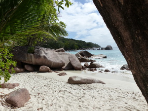 BUCHE MEER Seychellen Anse Lazio