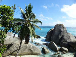 BUCHE MEER Seychellen - das Paradies<br><br>
