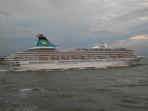 BUCHE MEER Phoenix