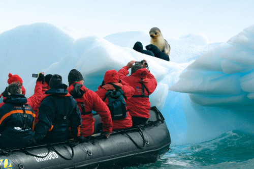 BUCHE MEER SEE Expedition mit Zodiacs Hapag-Lloyd Cruises